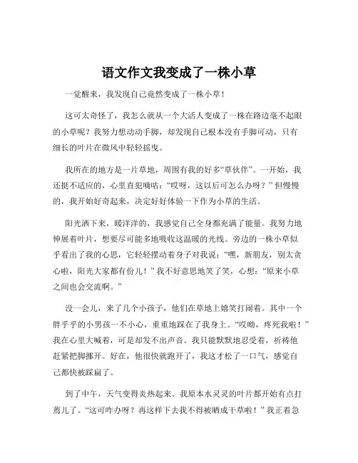 语文作文我变成了一株小草