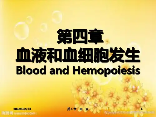 组织学与胚胎学课件 血液