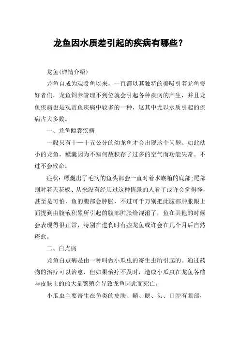 龙鱼因水质差引起的疾病有哪些？
