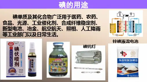 沪科版化学高一上册-2.3 从海水中提取溴和碘 课件 _2优秀课件