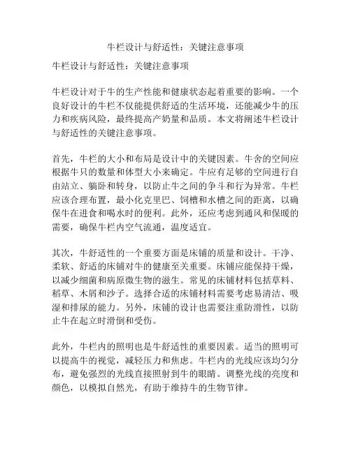 牛栏设计与舒适性：关键注意事项