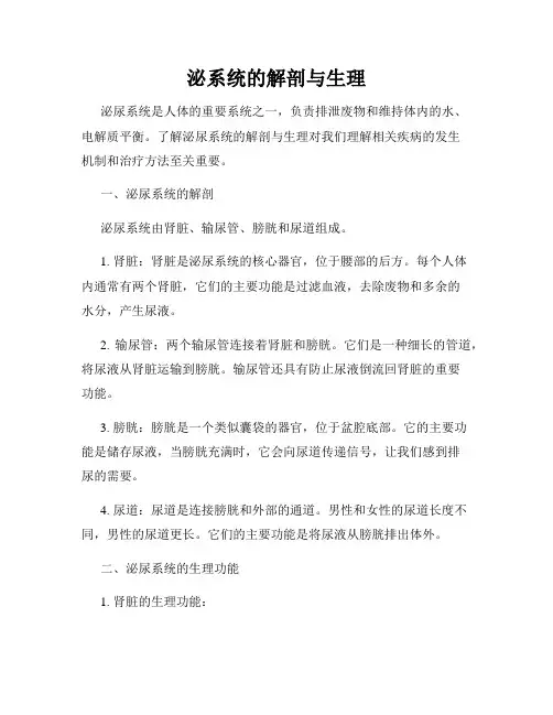 泌系统的解剖与生理