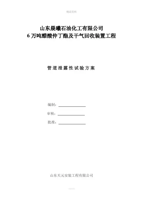 管道泄露性试验方案