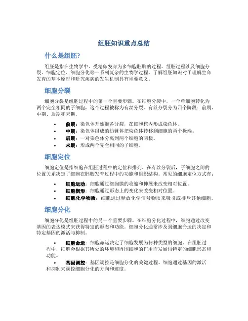 组胚知识重点总结