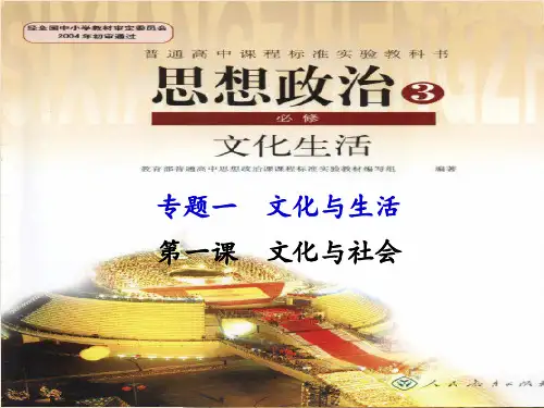 人教版高中政治《文化生活》第一课文化与社会复习课件