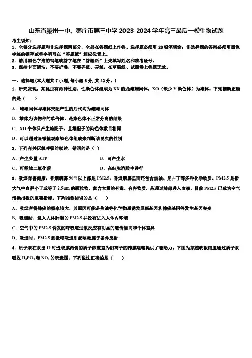 山东省滕州一中、枣庄市第三中学2023-2024学年高三最后一模生物试题含解析