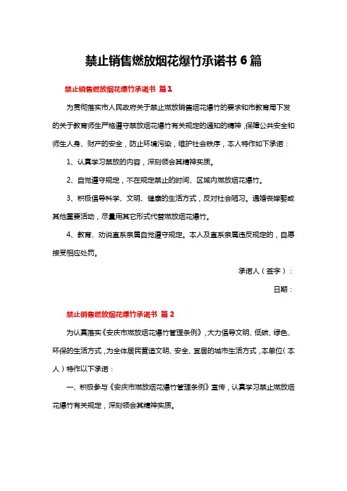 禁止销售燃放烟花爆竹承诺书6篇