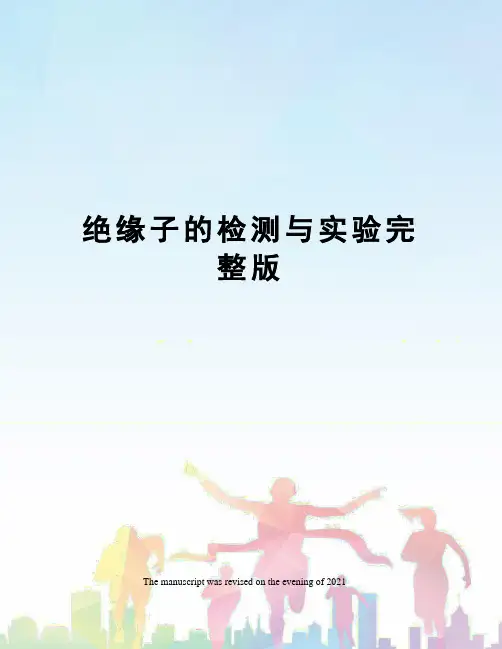 绝缘子的检测与实验完整版