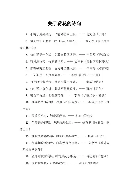关于荷花的诗句六年级