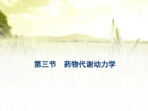 药物代谢动力学-PPT课件