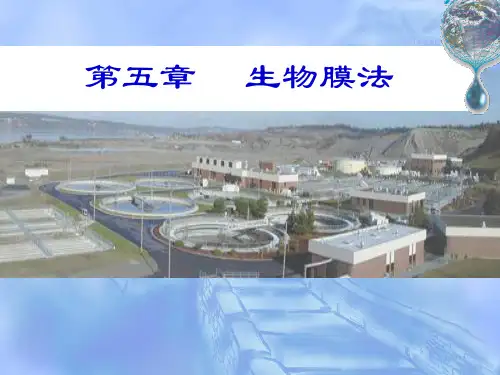生物膜法ppt