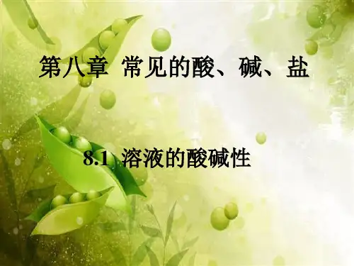 新科粤版九年级化学下册《八章 常见的酸、碱、盐  8.1 溶液的酸碱性》课件_12