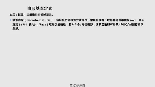 血尿诊断流程.pptx