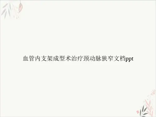 血管内支架成型术治疗颈动脉狭窄PPT.