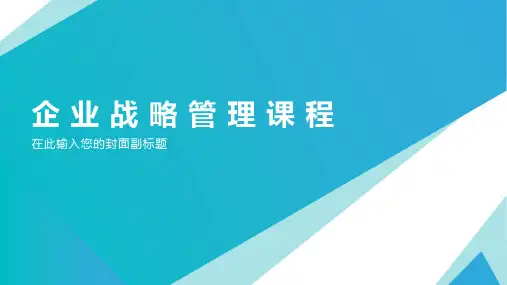 企 业 战 略 管 理 课 程：第八章 战略分析与选择