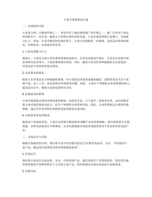 小麦中营销策划方案