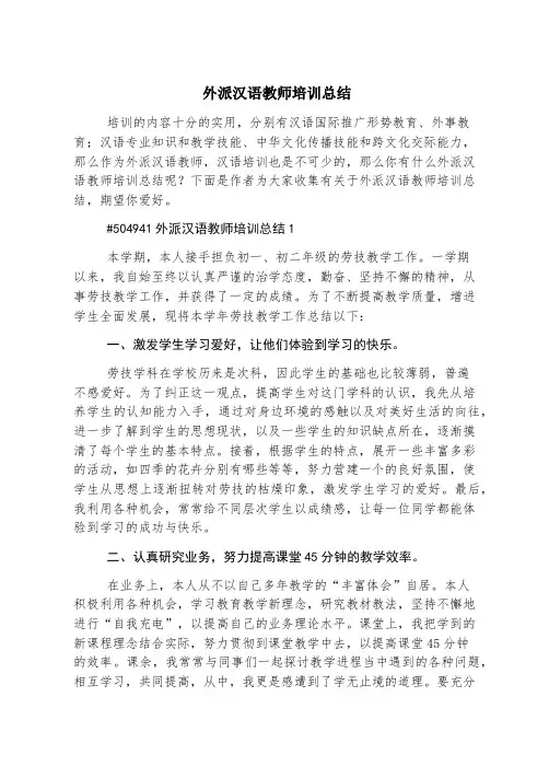 外派汉语教师培训总结