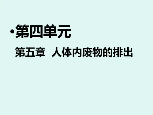 人教版生物七年级下册第五章人体内废物的排出课件共16张PPT