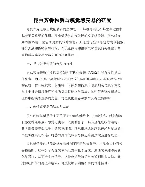 昆虫芳香物质与嗅觉感受器的研究