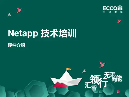 3.netapp 硬件介绍