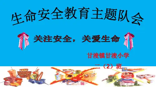 安全教育主题班会(安全第一、珍爱生命)ppt