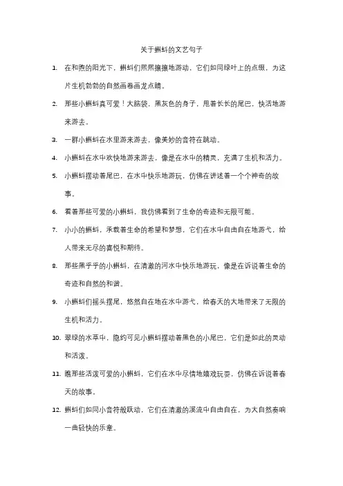 关于蝌蚪的文艺句子