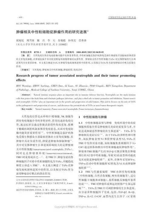 211105498_肿瘤相关中性粒细胞促肿瘤作用的研究进展