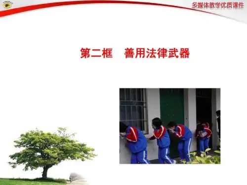 第二框__善用法律保护自己