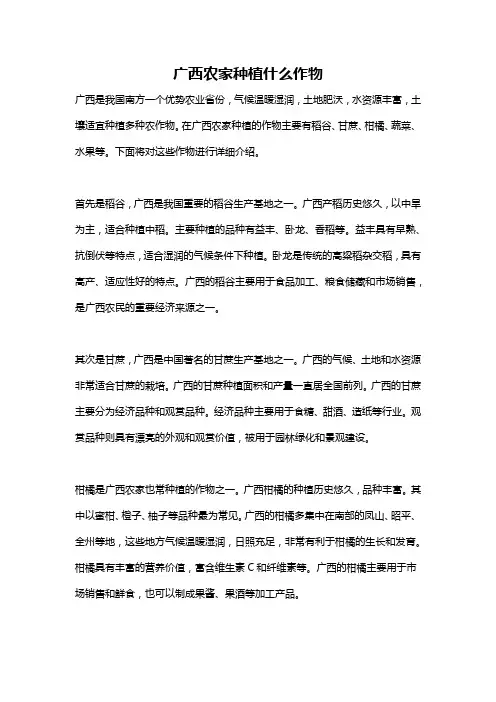广西农家种植什么作物