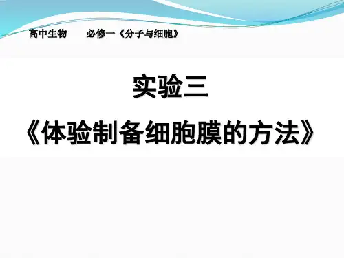 《体验制备细胞膜的方法》说课 - (共28张PPT)