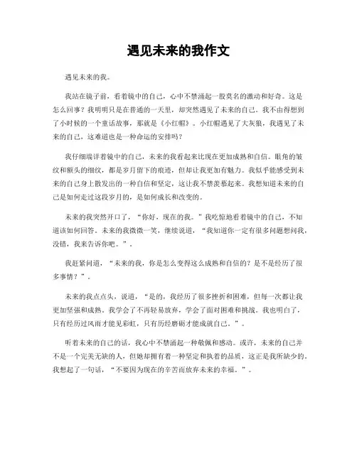 遇见未来的我作文