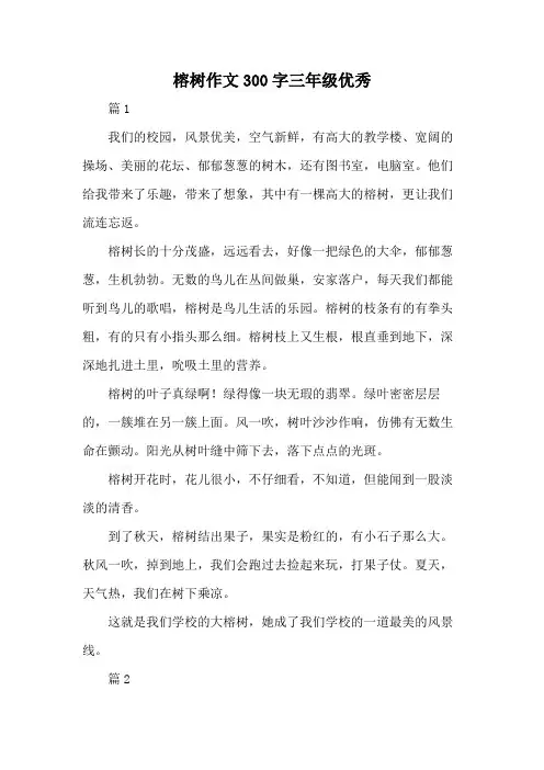 榕树作文300字三年级优秀