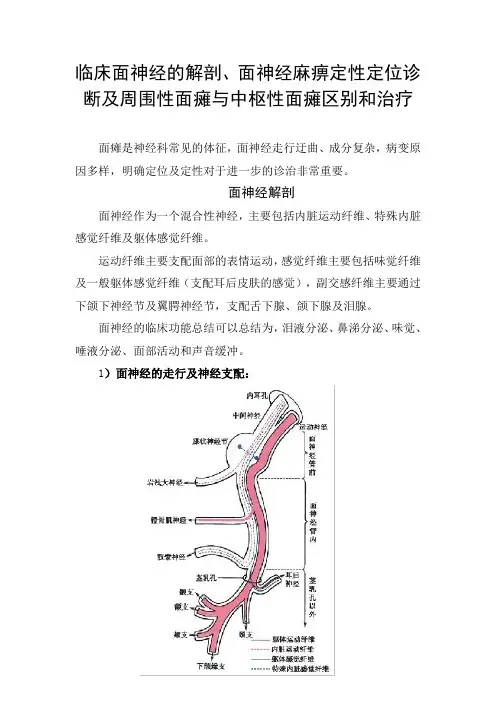 临床面神经的解剖、面神经麻痹定性定位诊断及周围性面瘫与中枢性面瘫区别和治疗