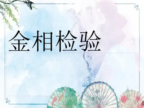 金相检验 精品讲义