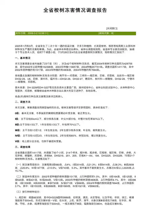 全省桉树冻害情况调查报告