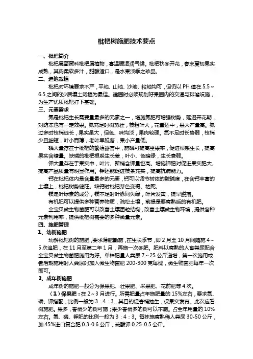 枇杷树施肥技术要点