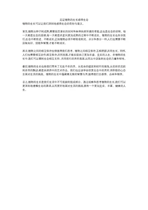见证植物的生长感悟生命