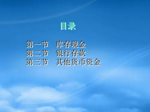 货币资金概述PPT37页