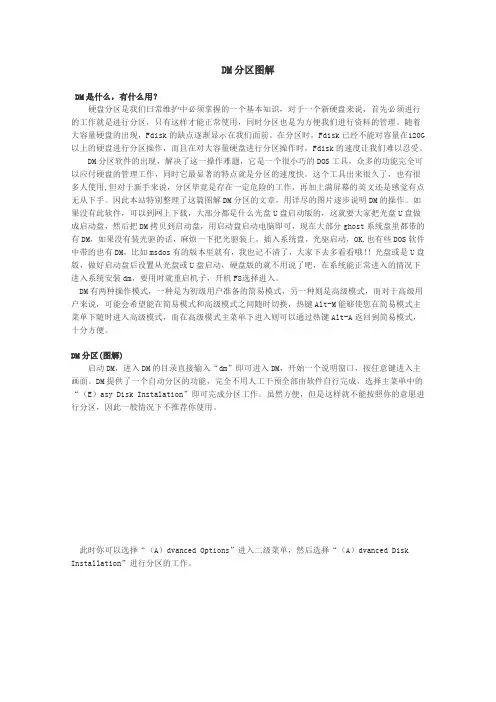 DM分区图解(低格)