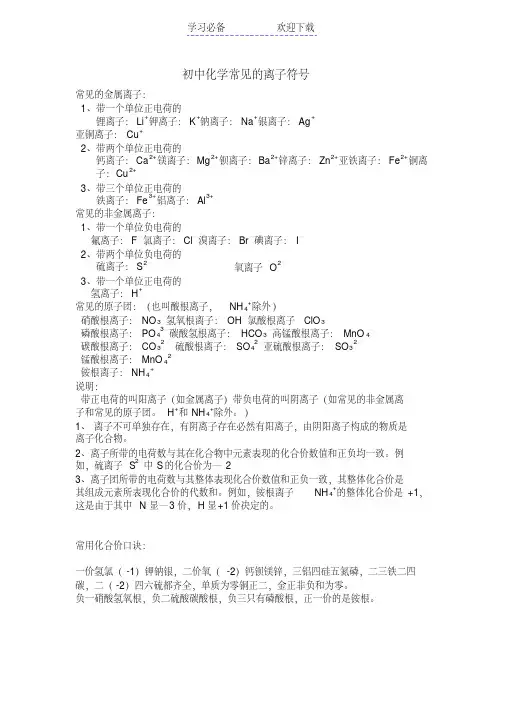 初中化学常见的离子符号
