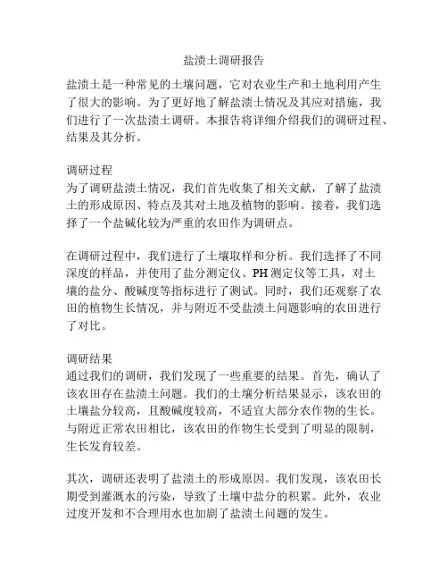 盐渍土调研报告