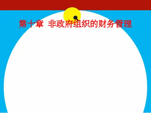 第十章-非政府组织的财务管理PPT课件