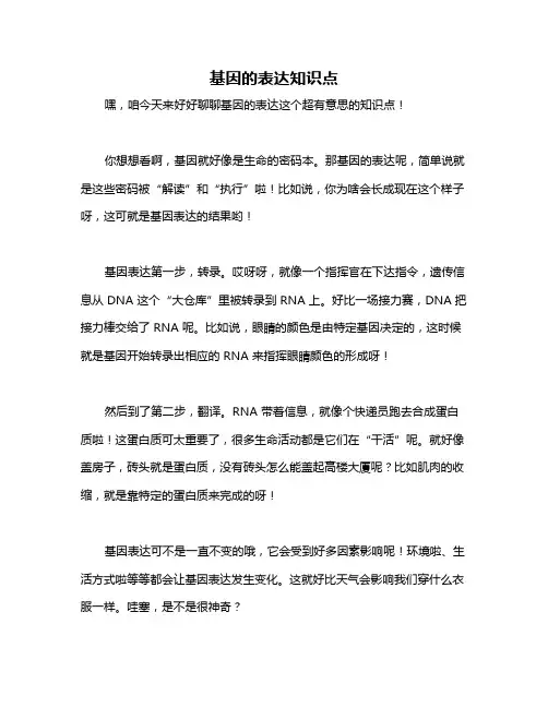基因的表达知识点