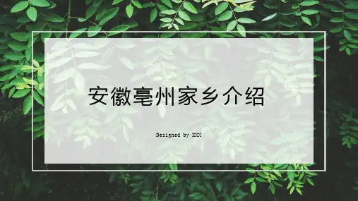 安徽亳州家乡介绍