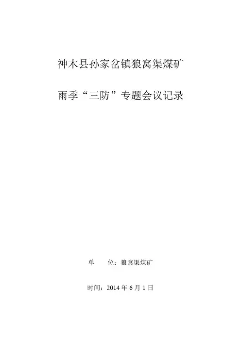 雨季三防专项会议记录
