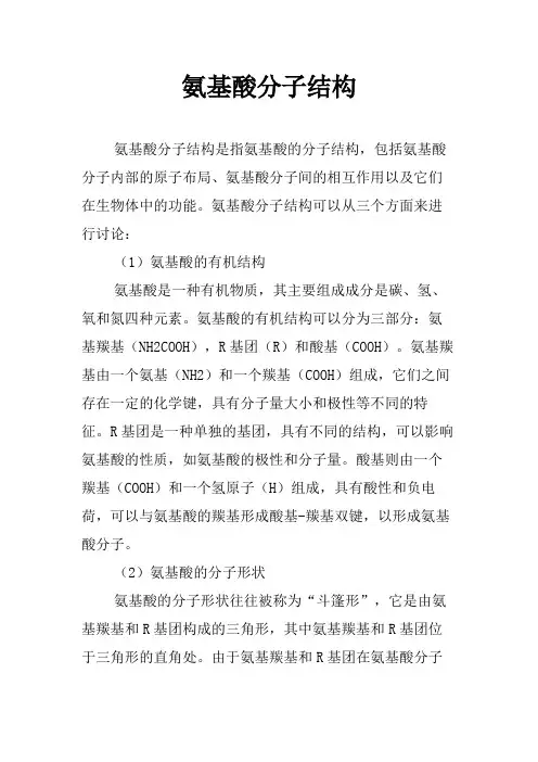 氨基酸分子结构