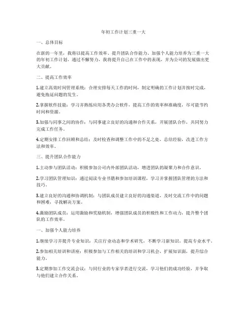 年初工作计划三重一大
