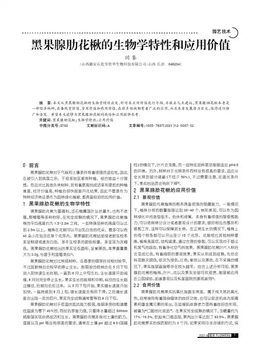 黑果腺肋花楸的生物学特性和应用价值