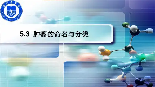 5.3 肿瘤的命名与分类