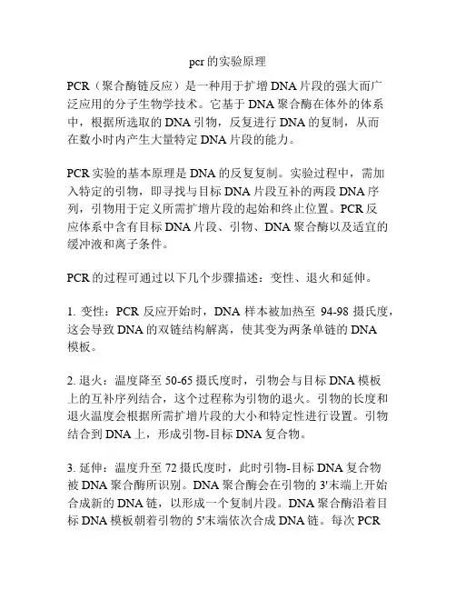 pcr的实验原理